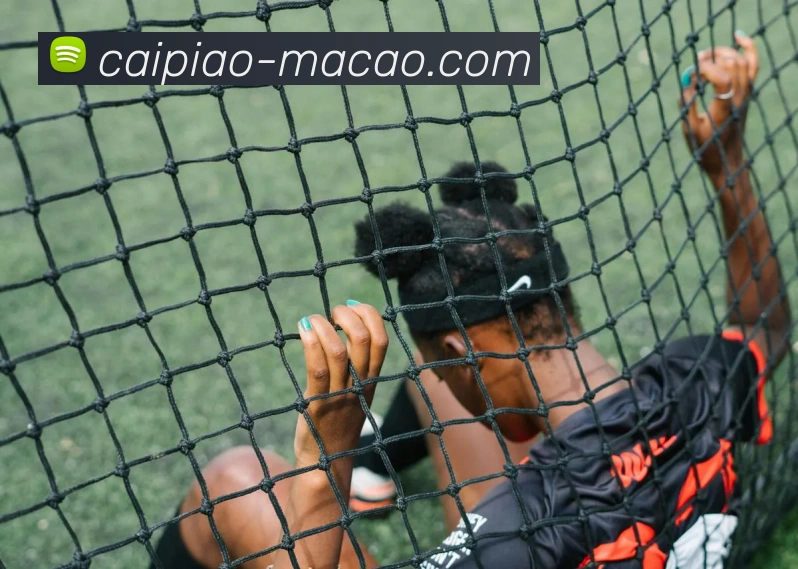 澳门彩平台生态图